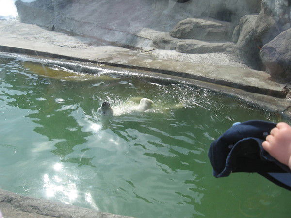 Елена Сальникова