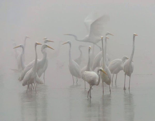 Елена Батурина