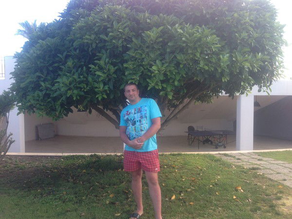 Денис Власов