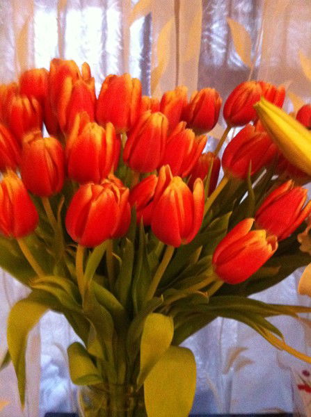 Огненный Телец