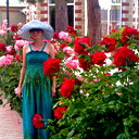 Jyldyz Abykeeva