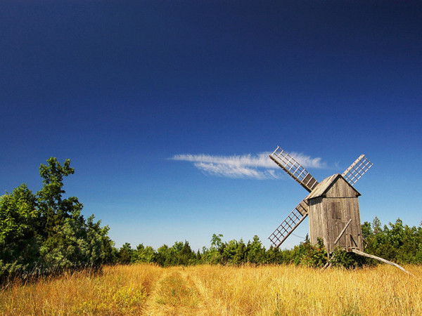 Алексей Богданов