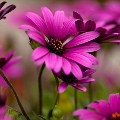 Ралия Магданова