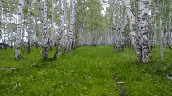 Айдыбнек Оралбеков