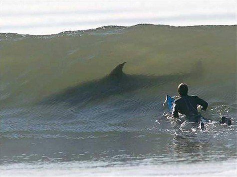 Алексей Кошелюк