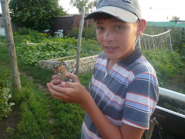 Дмитрий Красильников