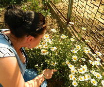 Венера Мокрушина