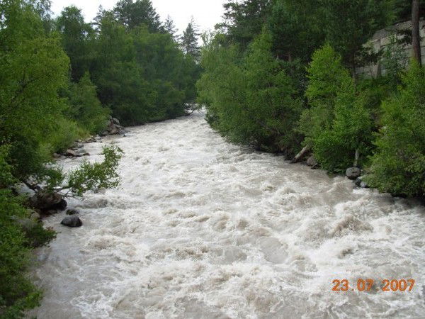 Григорий Белоцерковский