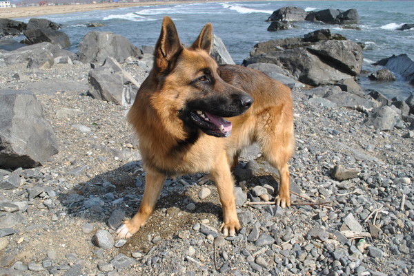 Макс Брюханов