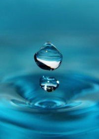 Елена Куликова