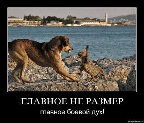 Алексей Христюков