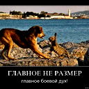 Алексей Христюков
