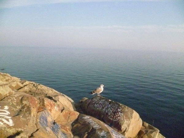 Софья Кравцова