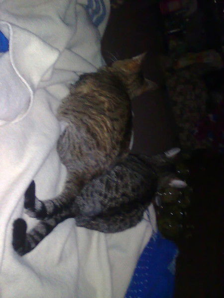 Ольга Юдова