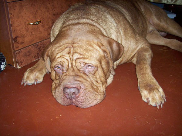 Сергей Асавлюк