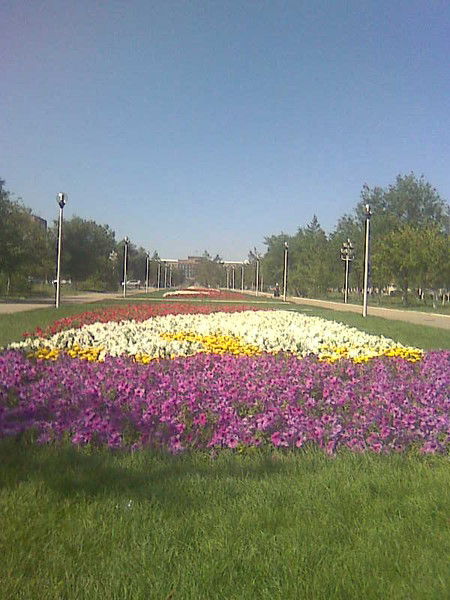 Алмагуль Айтбаева