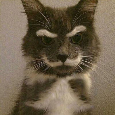 Оля Илларионова