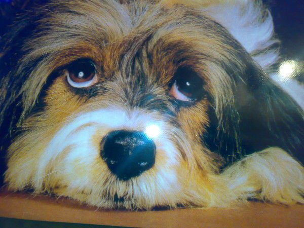 Владимир Хуртин