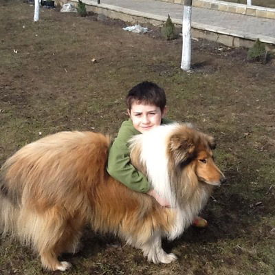 Стернин Артем