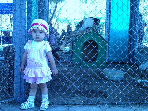 Дари Самигуллаевна