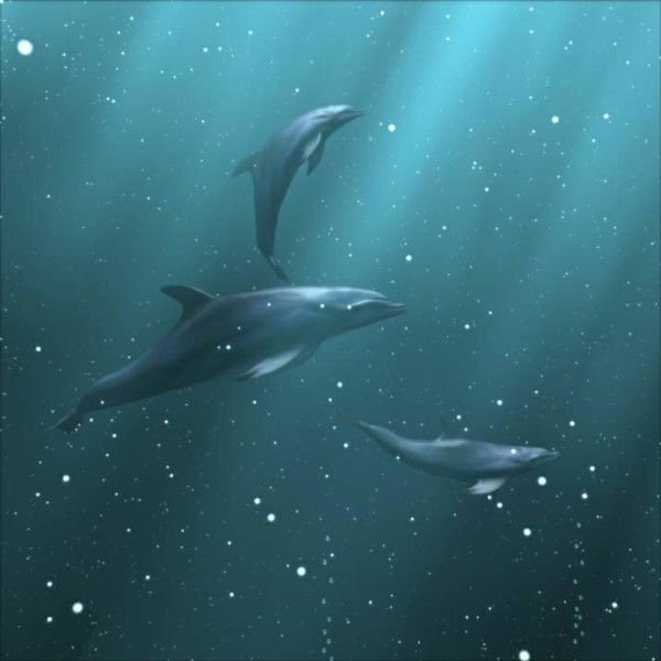 Юлия Казьмина