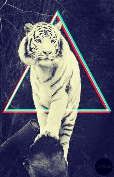 Сергей Котов