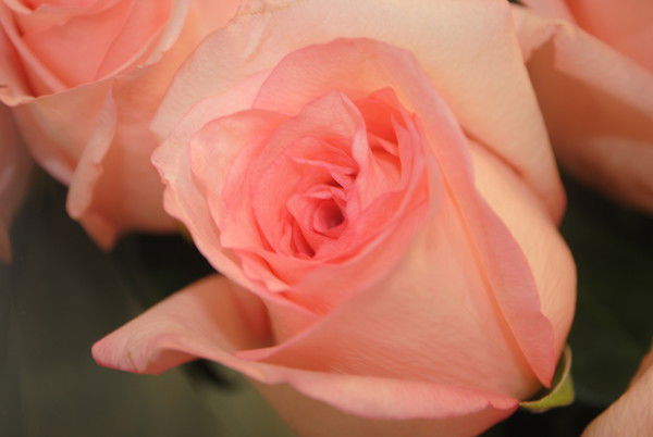 Алия Еспаева