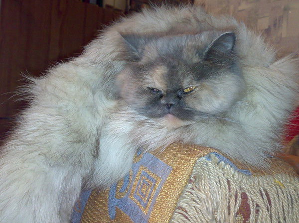 Наталья Гарбузова