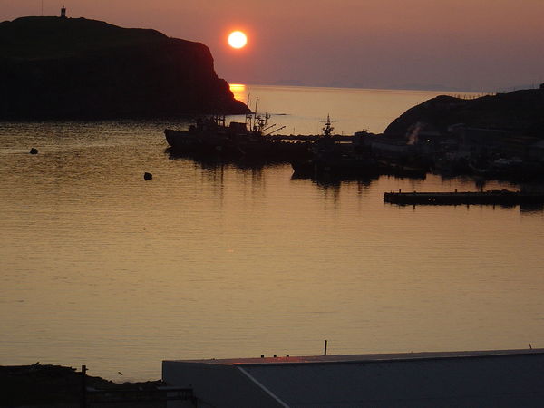 Елена Григоренко