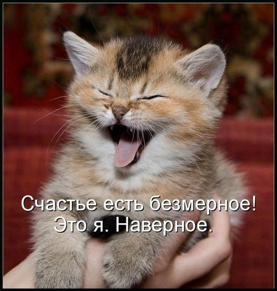 Олег Дунаев