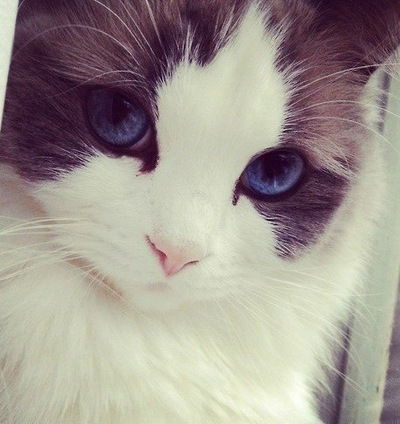 Настя Гляненко