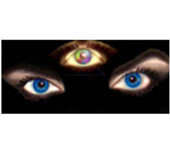 Костя Грубов