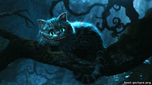 Елена Жидкова