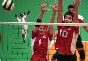 Алексей Коваль