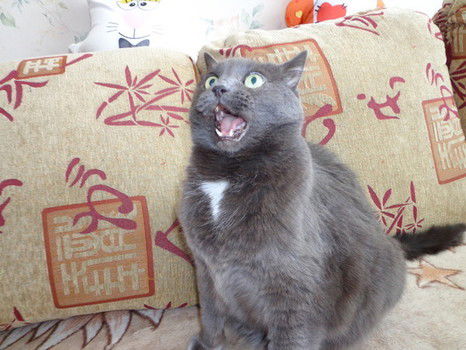 Серёжа Семёнов