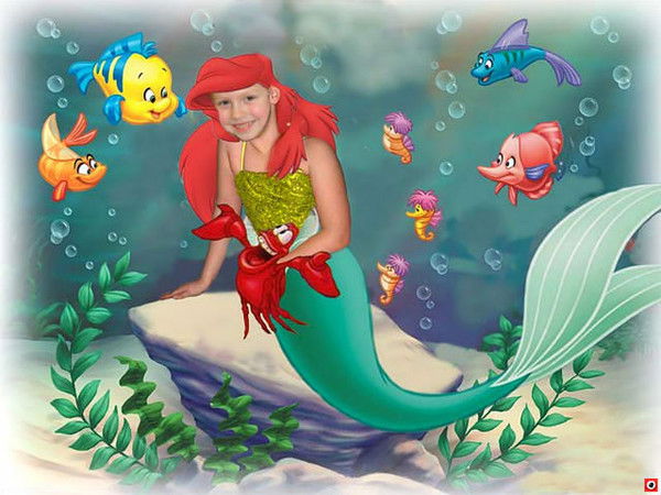 Алена Евсеева