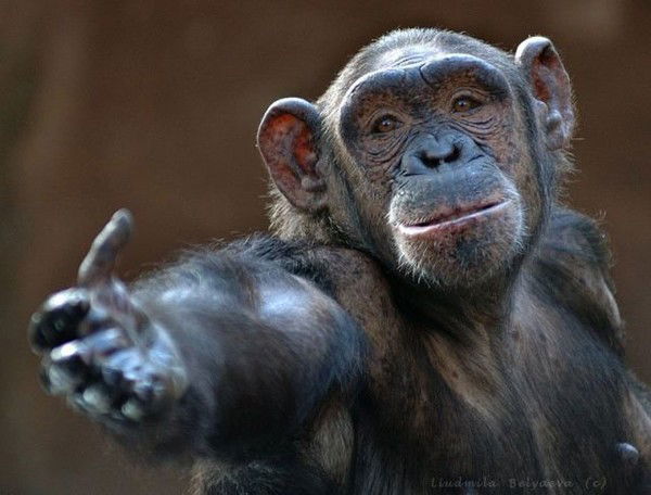 Андрэ Нортон