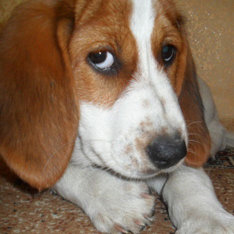 Наталья Чужинова