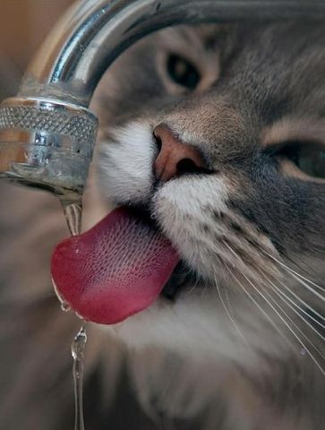 Андрей Зотов