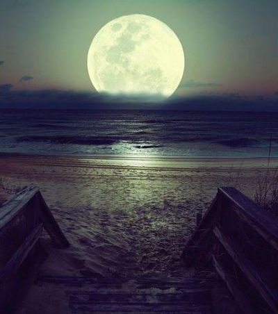 Елена Татаринцева