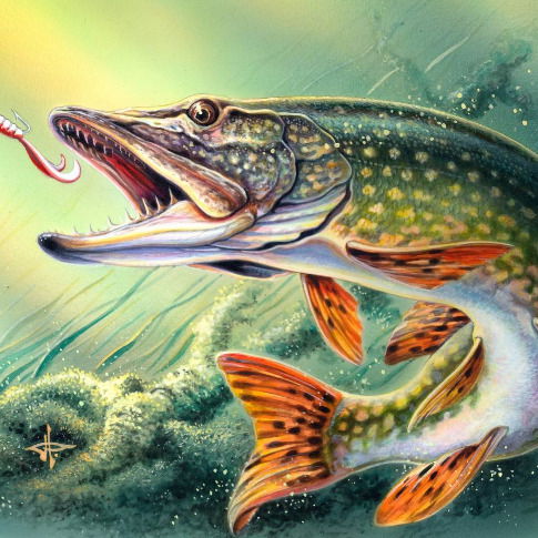 Игорь Коркин