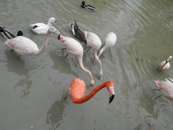 Валерия Отченаш