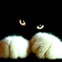 Виктор Цыплаков