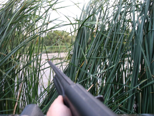 Сергей Чиркин