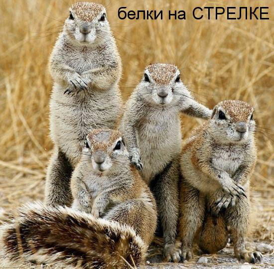 Евгений Глущенко