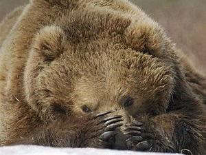 Марат Козьма