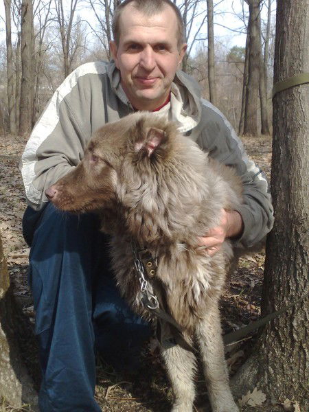 Евгений Бабищук