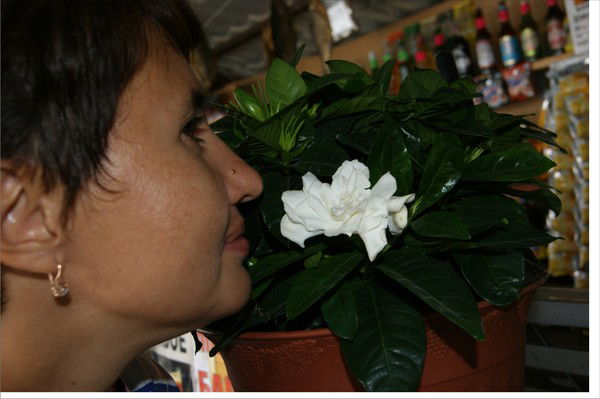 Татьяна Душенко