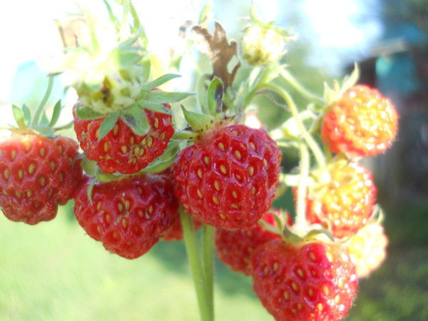 Нина Бакина