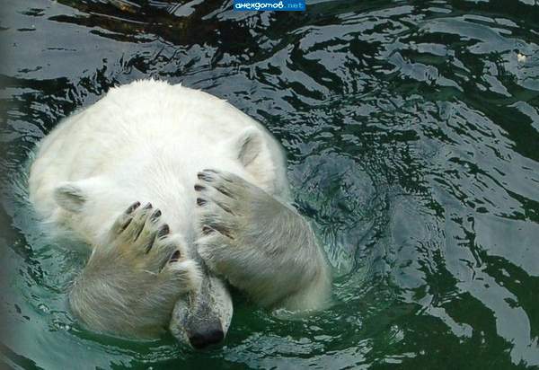 Сергей Посмитный